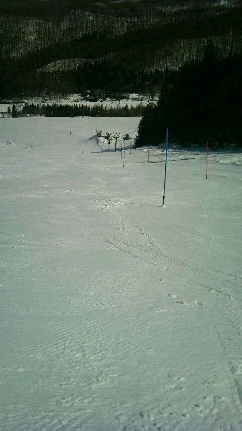 rps20120329_094544.jpg